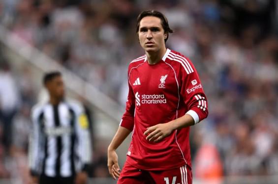 沪上双星闪,耀中超转会,市场,赢彩网,彩票平台,彩票投注,数据分析,精准预测