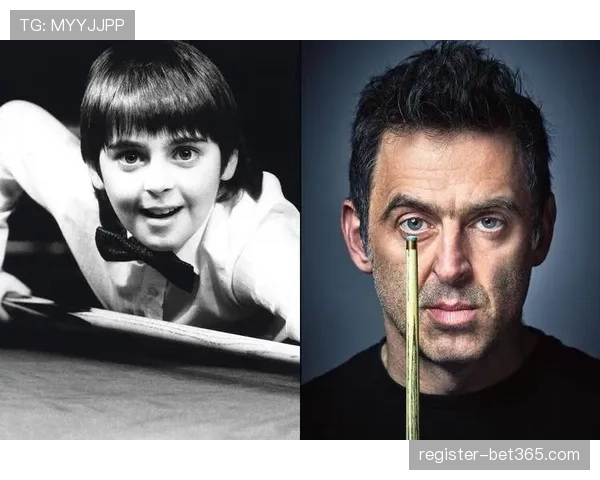 大乐透期号,专家推荐,质合分析前,赢彩网,彩票平台,彩票投注,数据分析,精准预测