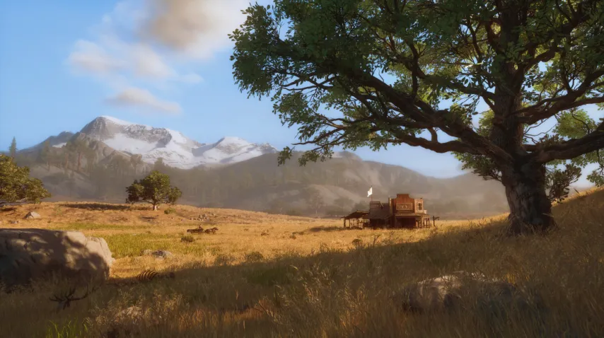 杜埃,无论场次,倾力投入,赢彩网,彩票平台,彩票投注,数据分析,精准预测