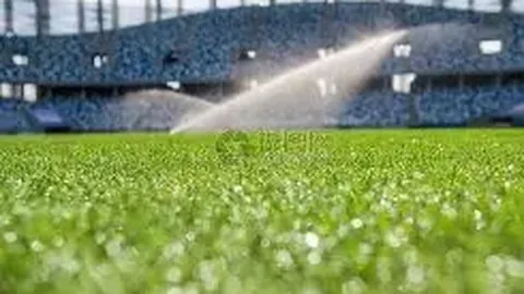 帕利尼亚击中立柱，凯恩补射助球队取胜